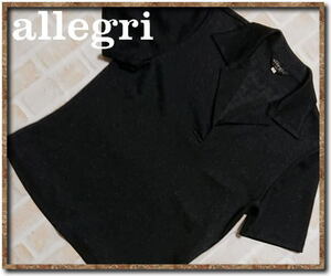 美品！！☆allegri　アレグリ　ラメ入りカットソー　黒☆