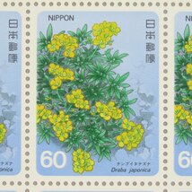 【切手0782】高山植物シリーズ 第4集 ナンブイヌナズナ 60円20面1シート_画像1