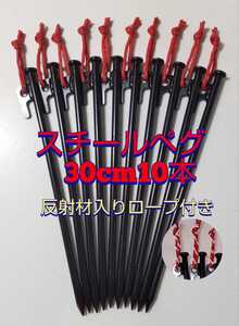 スチールペグ 30センチ 10本 マーカー付 アウトドア キャンプ 30cm