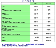 【 約4か月分 】 ドクターズベスト アルファリポ酸 150mg 120カプセル : αリポ酸 送料220円～_画像3