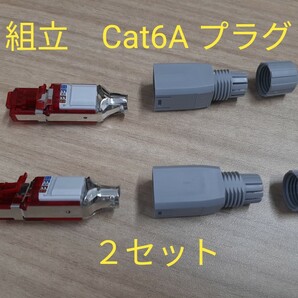 パナソニック CAT6A WZ7522 2個 プラグ
