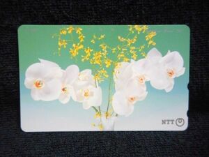  телефонная карточка 50 раз цветок T-2273 не использовался 
