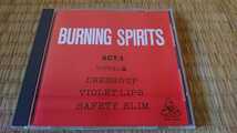 BURNING SPIRITS ACT.1 VISUAL編 ヴィジュアル系コンピレーションCD DRESS☆UP VIOLET LIPS SAFETY SLIM 90年代 マイナー V系_画像1