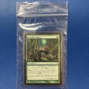 吠え群れの飢え/Hunger of the Howlpack日本語版 MTG CNS 2枚セットの画像3