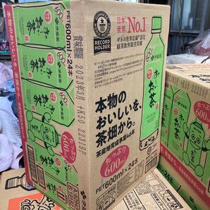 伊藤園おーいお茶600ミリ