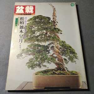  ежемесячный новое время бонсай отдельный выпуск * выбор .... японский название . сосна Kashiwa . дерево Rhododendron indicum *1978 год выпуск 