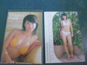 2004 安田美沙子　プロモカード2枚