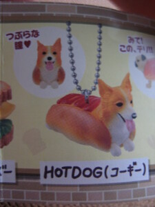 いぬぱん　５★HOTDOG コーギー★　ボールチェーンマスコット★紙つき★未開封　新品★犬