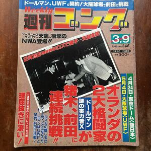 ■週刊ゴング　m　1989.03.09号　NO.246