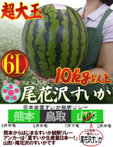 （予約）大量5玉！山形県産【尾花沢すいか】特大6L なんと!10ｋｇ以上！！！！_画像1