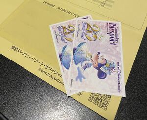 9月11日（日）東京ディズニーランドチケット　2枚