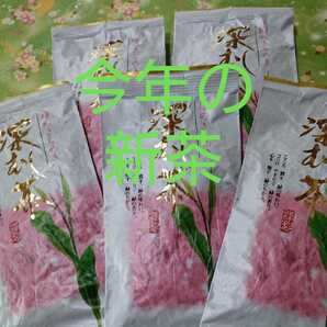 静岡茶 深むし茶 100g5袋 日本茶 緑茶 深蒸し茶