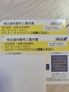 【送料無料・匿名配送】ANA株主優待優待券2枚セット　有効期限2022年11月30日まで