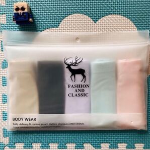 シームレスショーツ レディース パンツ 肌に優しい【XL 5枚セット】