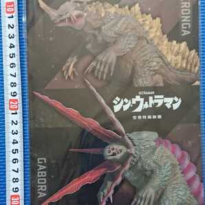 ★送料無料【 シン・ウルトラマン メタリック下敷き 】未使用新品★検索:庵野秀明斎藤工長澤まさみ西島秀俊山本耕史パンフレット関連商品★
