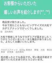 大粒　マカダミアナッツ　300g 素焼き　無塩　健康　美容　送料無料　ナッツ_画像3