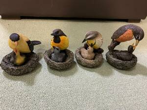 鳥 フィギュア　ムクドリモドキ　マキバドリ　コマツグミ　オウゴンヒワ　ヒナ　餌やり　子育て　４セット　送料込み