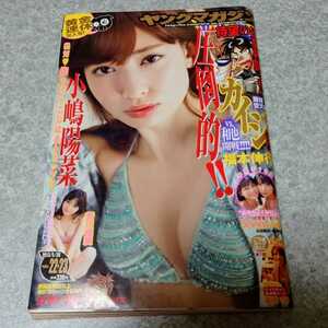 ★【雑誌】週刊ヤングマガジン 2013年5月20日号 小嶋陽菜,新川優愛,和田彩花,福田花音,里見りか 他