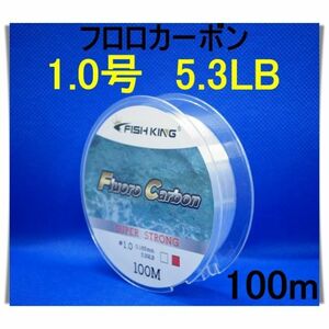 フロロカーボン　1.0号　(5.3LB) 100m 釣り糸　ライン リーダー