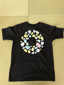 THE NORTH FACE ザ ノースフェイス Tシャツ Lサイズ