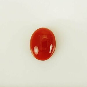 【SJ】新品 血赤珊瑚 9×7mm 小判 ジュエリールース ACD211