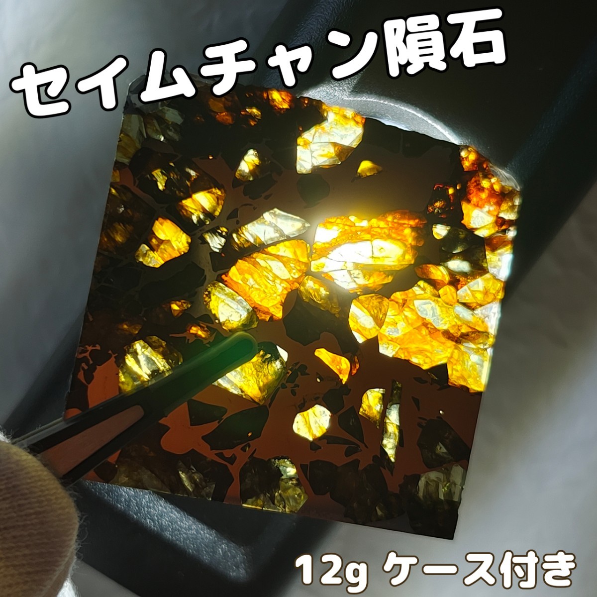 ロシアパラサイト隕石】セイムチャン隕石 8.7g ケース付き NO.99 www
