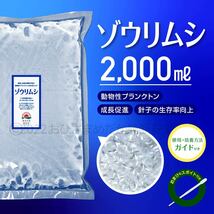 【ゾウリムシ　種水　増量中　2000ml　送料無料】 めだか　メダカ　針子 らんちゅう ベタ 稚魚 　psb　 金魚　ミジンコ　クロレラ　などに_画像1