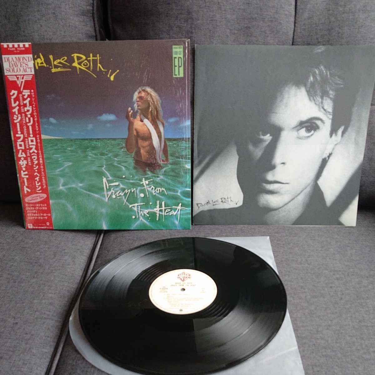 再入荷】 デビッドリーロス 1994年発表アルバム アナログ レコード