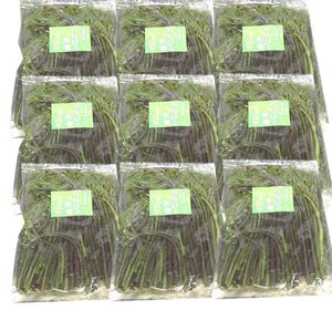 送料300円(税込)■qz218■岩手県産 わらびの水煮 750g 10点【シンオク】