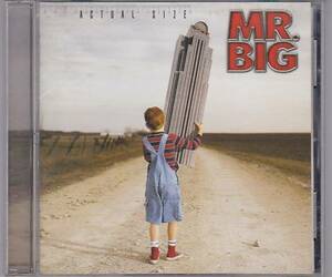 ★CD アクチュアル・サイズ 国内盤ボーナストラック収録 全13曲収録 *MR.BIG