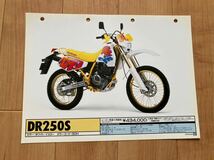 スズキ販売店用 カタログ DR250S DR250SHE_画像4