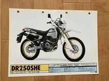 スズキ販売店用 カタログ DR250S DR250SHE_画像6