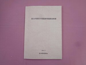 『 富山市豊田大塚遺跡発掘調査概要　1998年3月 』 富山市教育委員会