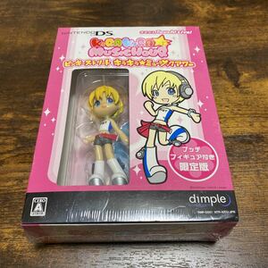 DS ソフト ピンキーストリート キラキラ☆ミュージックアワー (初回限定版:ピンキーフィギュア付) Nintendo 未使用 未開封
