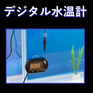 【P0016】[アクアリウムの温度管理に] デジタル水温計 [電源ボタン付]