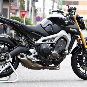 新品 YAMAHA MT-09 ('14~'16) LED フェンダーレス BK Ver. 車検対応