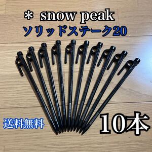 スノーピーク ペグ ソリッドステーク20 R-102 snow peak x10