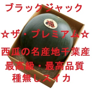 ②1円~!2玉限定!最高級・最高品質の種無しスイカ「ブラックジャック」8/12・金曜日・終了