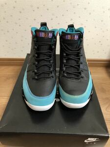 激レア 極美中古 NIKE AIR JORDAN 9 RETRO Dream It Do It us11(29cm) 302370-065 ジョーダン9 SNKRS納品書付き