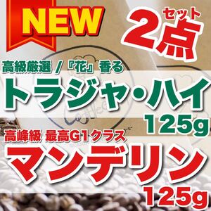 椿 花系 高級厳選 トラジャ ど濃厚チョコ 極上 マンデリン 2点セット コーヒー豆 珈琲豆 プレゼント 送料無料 嬉しいお得 インドネシア