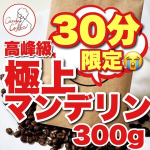 極上 マンデリン インドネシア G1 珈琲豆 コーヒー豆 自家焙煎 深煎り 香り コク 濃厚チョコレート 大容量300g 送料無料 コーヒー 珈琲