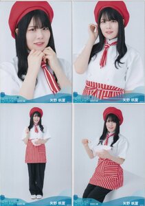 STU48 矢野帆夏 月別 netshop 生写真 2022 8月 2022.08 4種コンプ