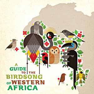 新品　V.A. / A Guide To The Birdsong Of Western Africa (LP)