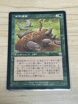 MTG 食物連鎖 棺の女王 日本語版 マジックザギャザリング_画像1