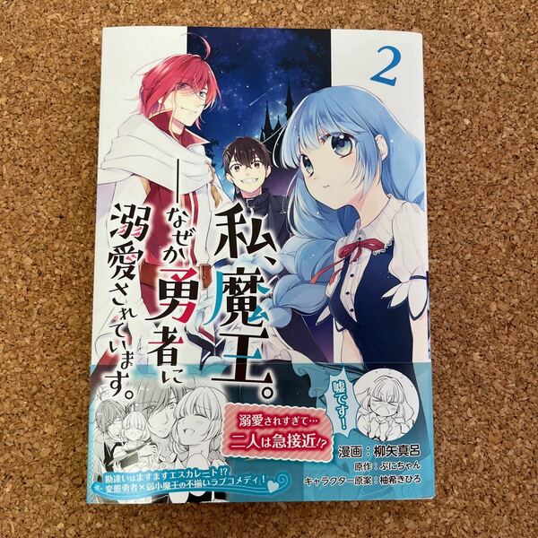 私、魔王。－なぜか勇者に溺愛されています。　２ 