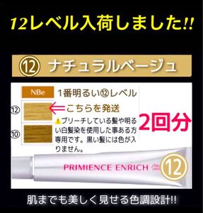 資生堂 プリミエンス ヘアカラー 白髪染め【イルミナカラー アディクシー ブリーチ剤 オキシ同梱割有】12ベージュ単2本