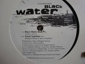 A Hundred Birds Black Water/ octave one