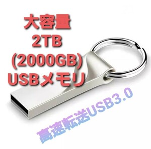 キーホルダー 2TB (2000GB)USBメモリ 