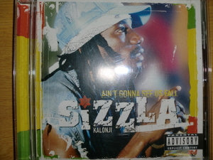 良品 Sizzla [Ain't Gonna See Us Fall][ラスタ] spicy chocolate mighty crown jam rock red spider burn down barrier free black kat