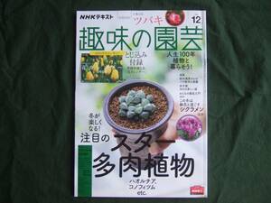 NHK хобби. садоводство 2020 год 12 месяц номер внимание. суккулентное растение 